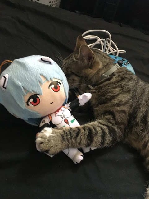 Rei-and-cat