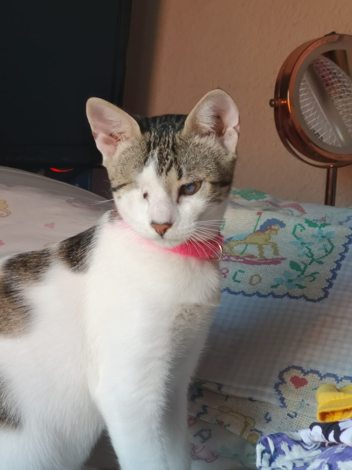 [Imagen: IMG-20190818-WA0026.jpg]