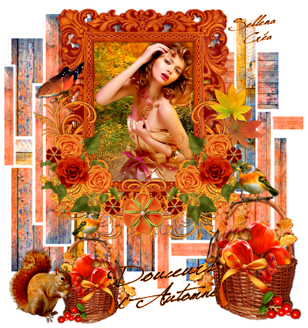 xdouceurs-d-automne