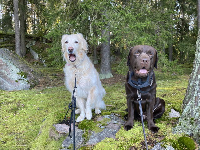 4-A513-CC4-7-B73-4-AEA-9175-9-F4-CDFAAF2