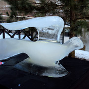 IMG-0384