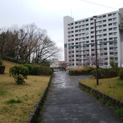 DSC-0014