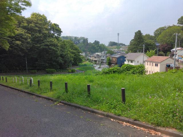 IMG-20230624-143528.jpg