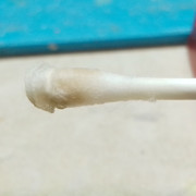 IMG-20240403-220511