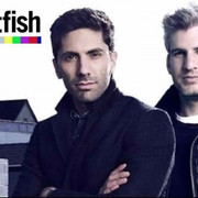 Catfish