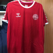 denmark-home1