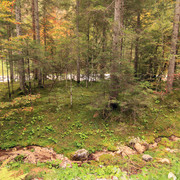 IMG-0193