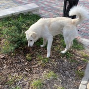 IMG-6069
