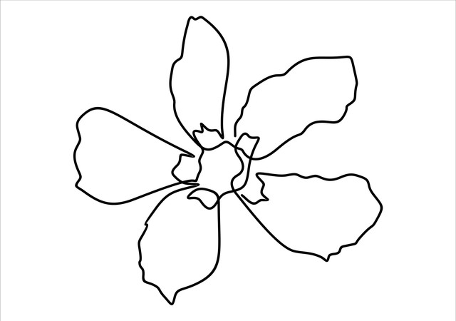 shutterstock 1520566826