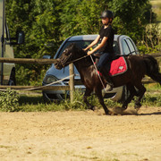DSC03633