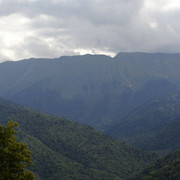 DSC7173