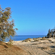 P1290067