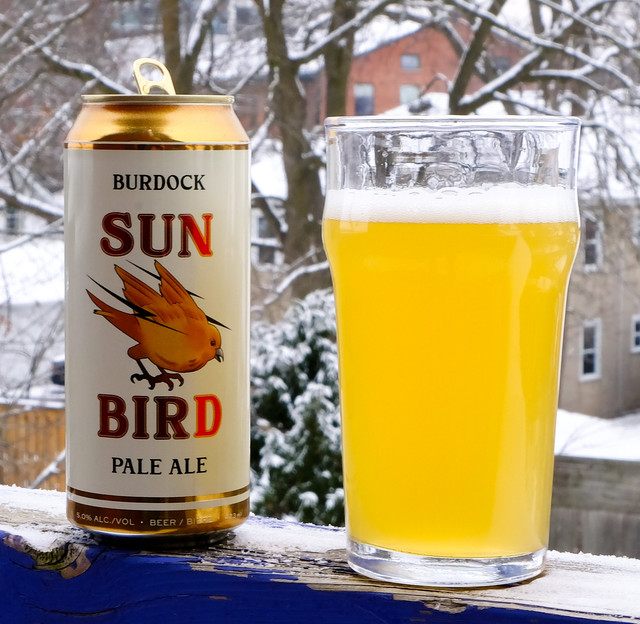 sun-bird-shot