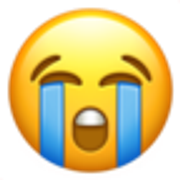 loudly-crying-face-1f62d