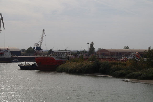 DSC08256.jpg