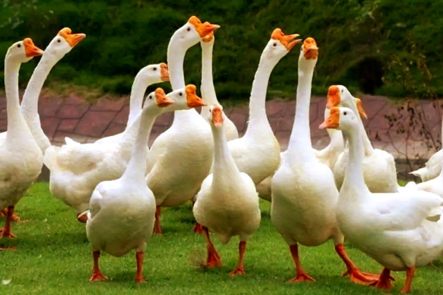 IMG-20220902-071908" border="0