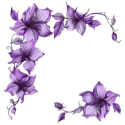 063d7ac10ad5097b657cb7ad9e6fed2c