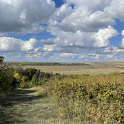 IMG 0399