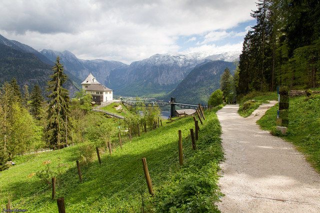 IMG-0271-2