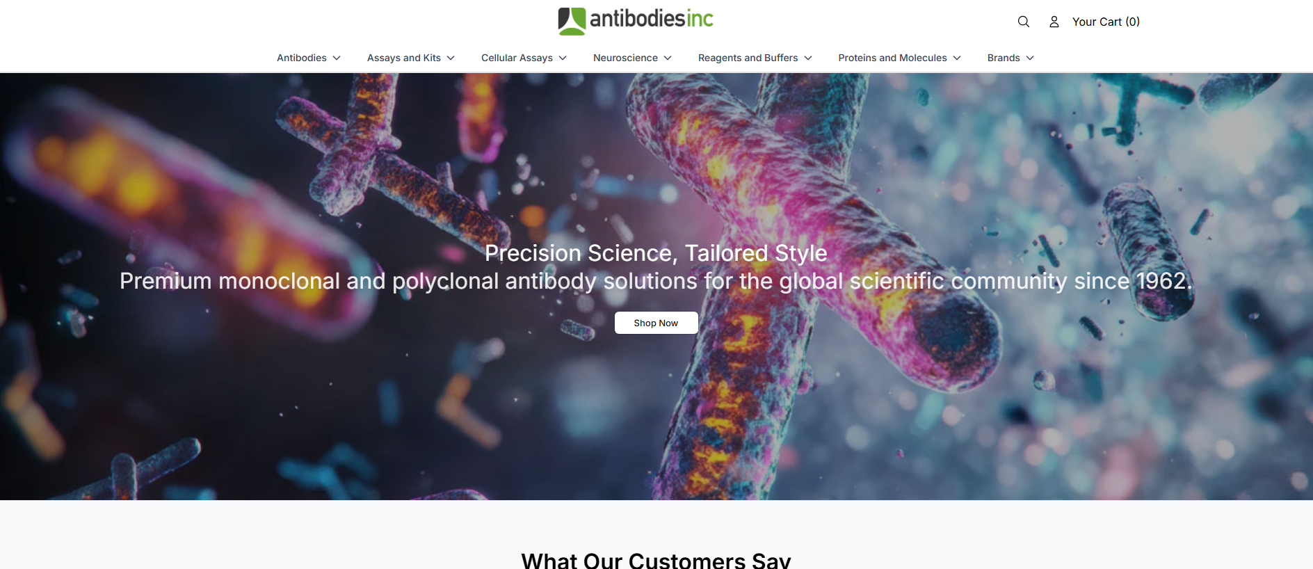 Stored capture of antibodiesincorporatedhq.shop
