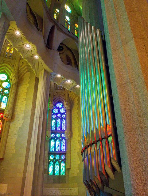 DSC01704.jpg