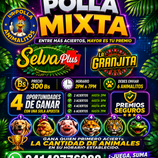 polla mixta