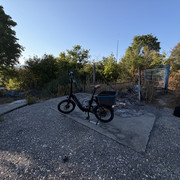 IMG 7089