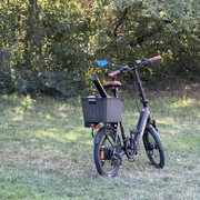 IMG 3187