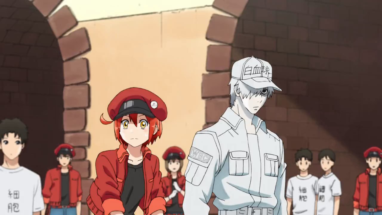 Cells at Work Screenshot