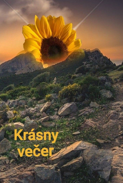 547047d0f8c7c95dbdee844cdc465917