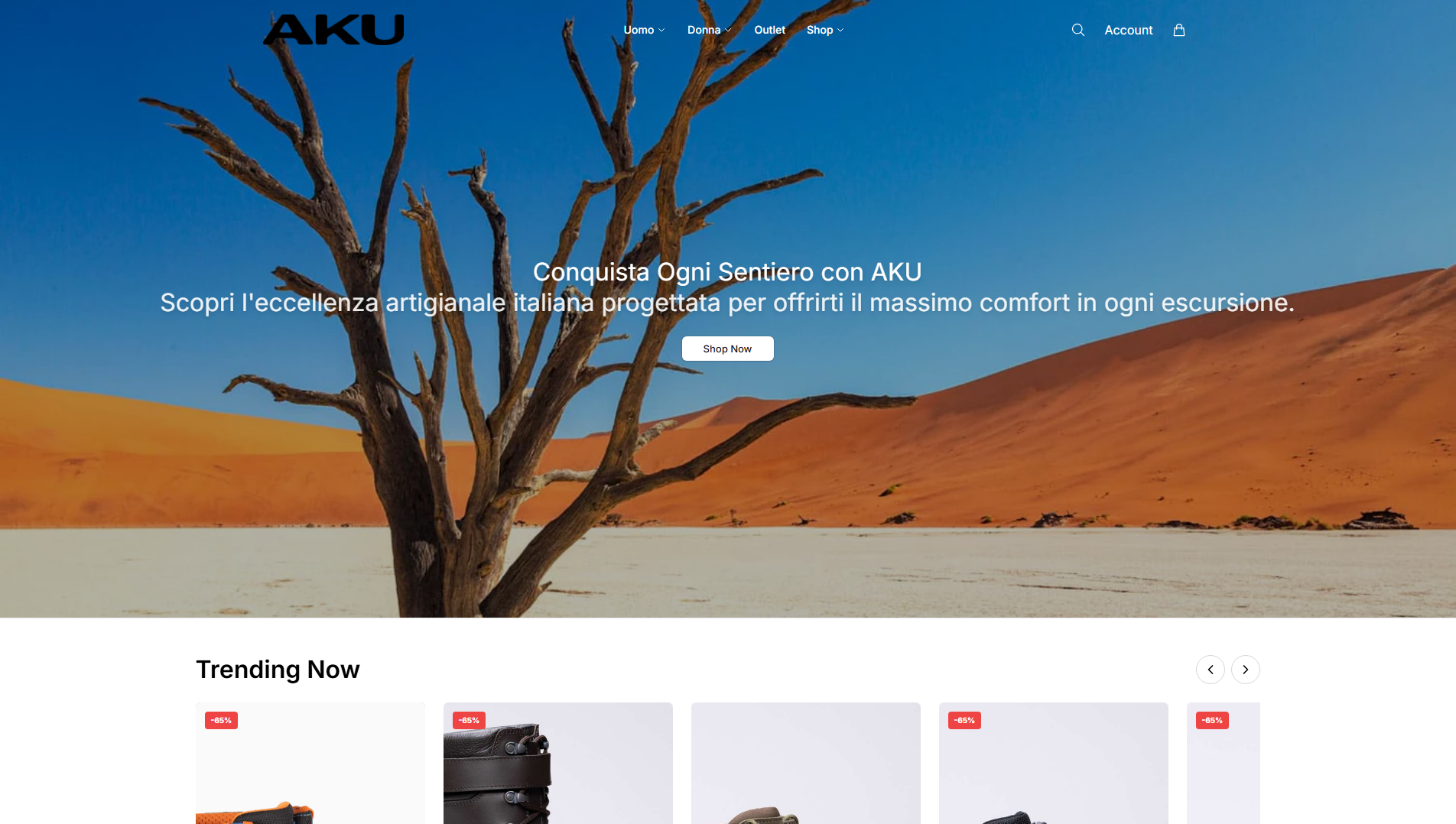 Stored capture of akusummit.shop