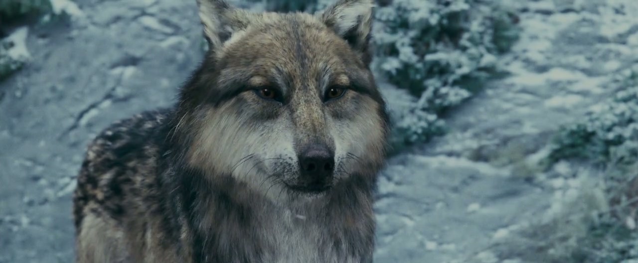 The Twilight Saga: Eclipse Screenshot