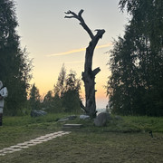 IMG 5533