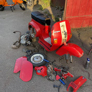 IMG-3621
