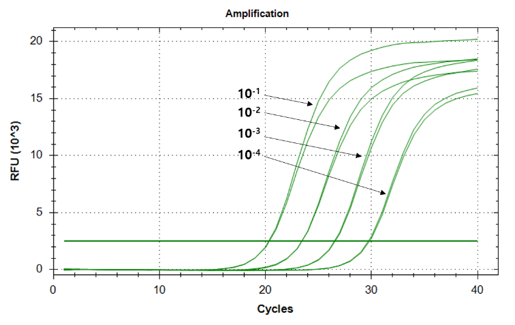 qPCR 선형 구간
