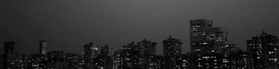FAA Banner.gif