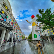 IMG-3605