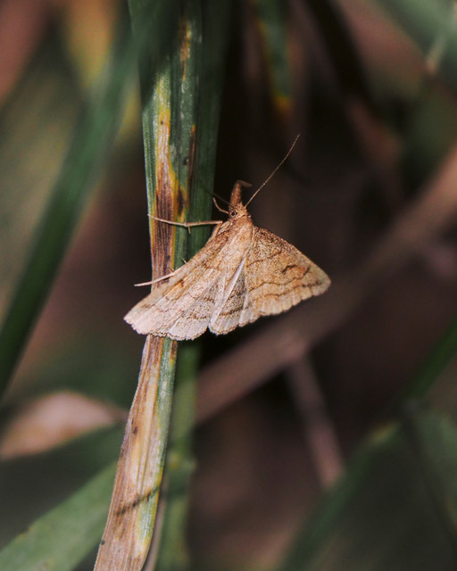P7233206