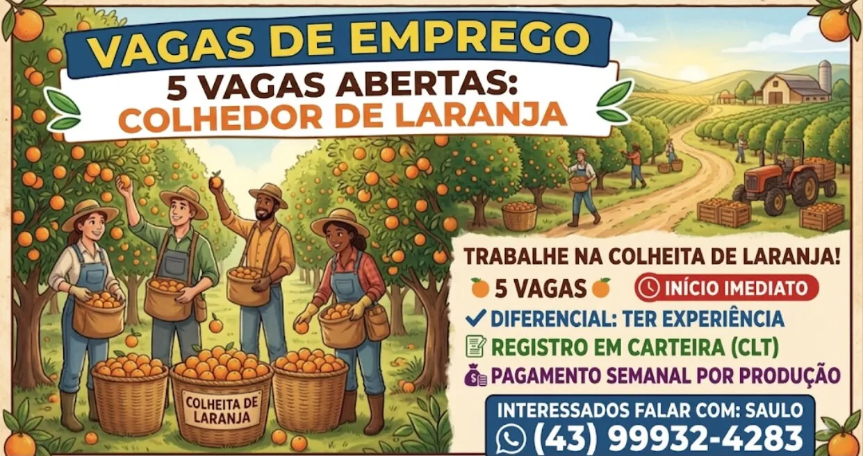 Colhedor De Laranja