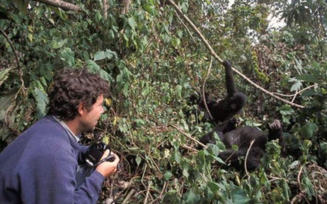 Rwanda Gorilla Safari.png