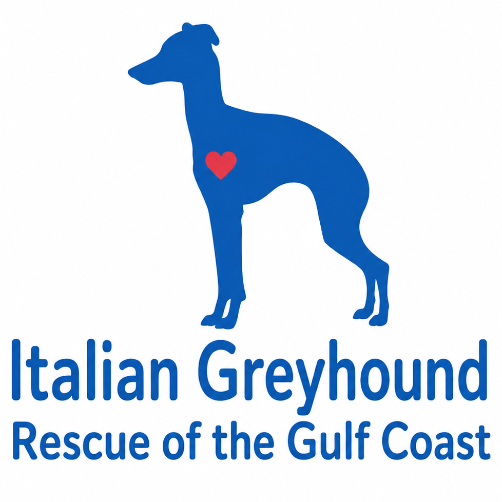 Italian Greyhound Rescue Gulf Coast logo