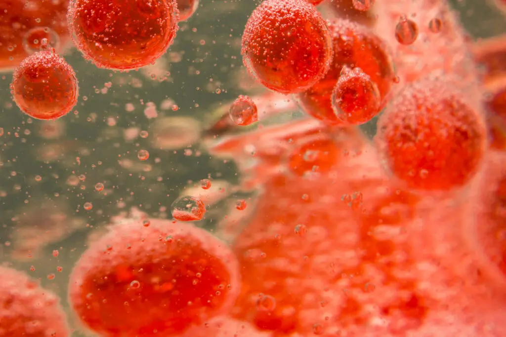 Vitaminele cheie pentru un sânge sănătos, conform unui specialist în hematologie