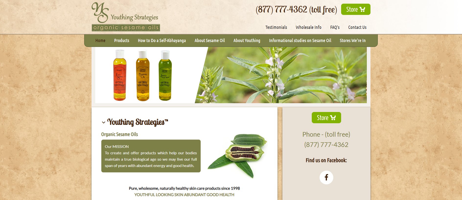Stored capture of youthingstrategies.com