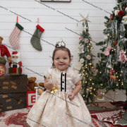 IMG 4229