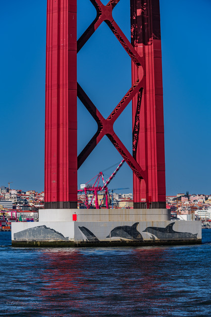 DSF5654.jpg
