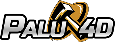 LOGO PALU4D