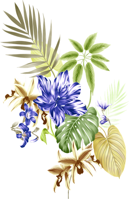 c96597471bf7dde4f636600b2753cc35.png