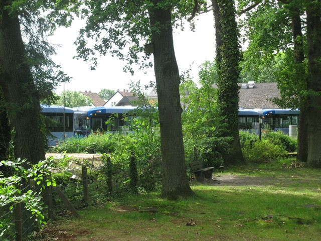 IMG 4587