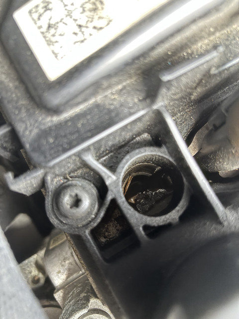 IMG-1580