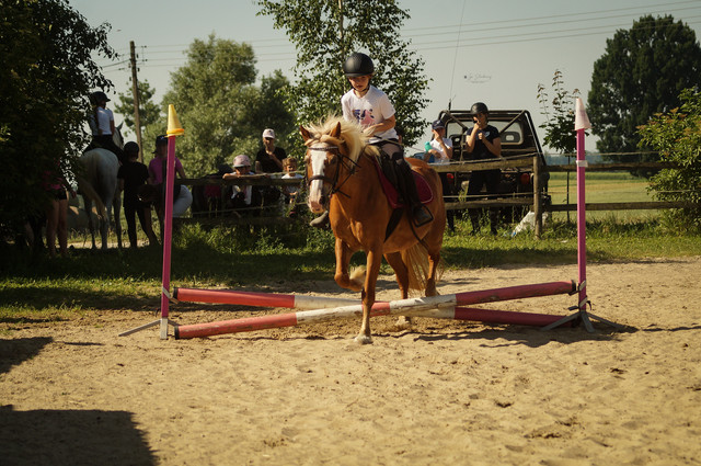 DSC03696.jpg